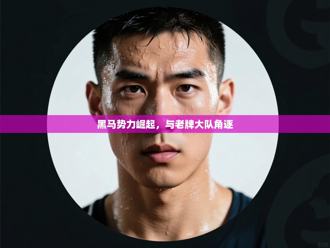 黑马势力崛起,与老牌大队角逐 第1张